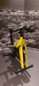 Technogym Yellow Spin Bike