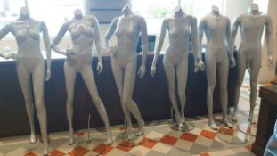 Mannequins X6