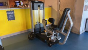 Precor Outer Thigh Machine