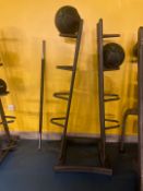 Medicine balls and holder