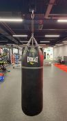 Everlast Boxing Bag