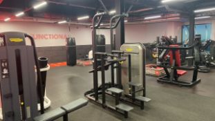 Technogym Kneeling Easy Chin/Dip Unit