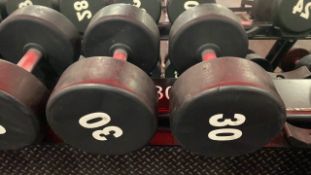 Foreman Dumbbell 30kg X2