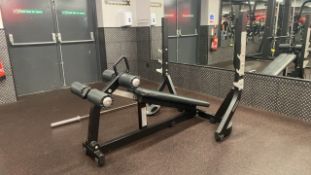 Technogym Olympic Decline Bench