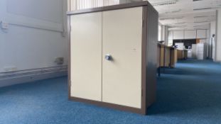 Metal Storage Unit X2