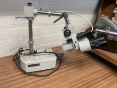 Binocular microscope