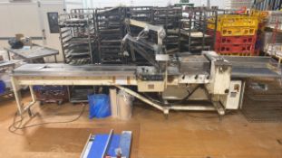 APV Flowpak Conveyor