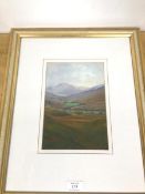 Colin Robertson (Scottish 20thc.), Glen Lochay, watercolour on paper, signed lower right (25cm x