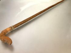 A late 19th century hazel walking stick the wooden handle finely carved as a hound's head, over a