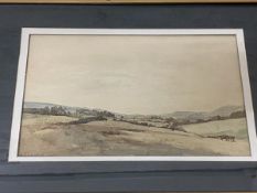 M Fewster, rural landscape, watercolour, signed and dated 1910 bottom left, measures 18cm x 31cm