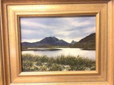 Scottish School, Glimpse of Stacpolly, oil, signed bottom left, measures 14cm x 19cm