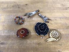 A mixed lot of costume jewellery including a two circular polished stone brooches, two birds feet,