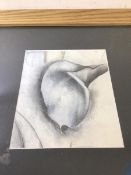 Modern School, Lily, pencil, initialled bottom right, framed, (19cm x 16cm)