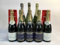 Champagne - ten bottles, Piper Heidsieck and others