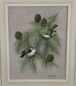 Paul Dawson 20th century watercolour - Goldcrests, signed, 20cm x 27cm in glazed frame, 43cm x 50cm