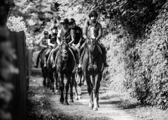 Jayne Odell black and white photographic print, 'Summer return', 60cm x 43cm