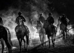 Capturing the Lifeblood of Racing - Timed Online Auction of Jayne Odell FRPS Photography