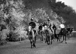 Jayne Odell black and white photographic print, 'Blossom time', 60cm x 43cm