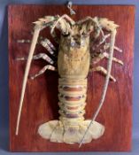 TAXIDERMY - model of a lobster on a wooden base, 45.5 x 38cms overall