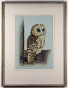 DICK TWINNEY watercolour - Tawney Owl on a Gate, signed and dated 1974, titled verso, 44 x 31cms