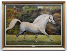 JOHN SUTTON acrylic on board - portrait of Welsh Mountain Pony Stallion 'Revel Cassino', signed,