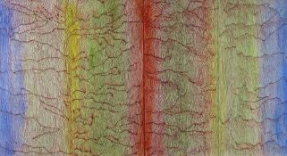 PETER JONES ink, watercolour & paper laid on board - abstract, entitled verso 'Morphic Resonance,