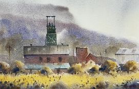 ‡ PETER CRONIN watercolour