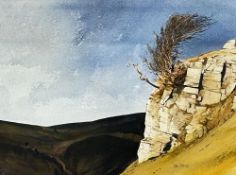 ‡ ROB PIERCY watercolour