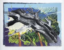 ‡ IAN JACOBS construction and acrylic