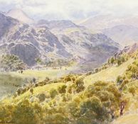 ‡ DAVID WOODFORD watercolour