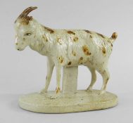 DERBYSHIRE SALT GLAZED STONEWARE MODEL OF A GOAT, c.1820