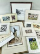 ASSORTED WILDLIFE PRINTS, including Hare after Paul Gaisford, Roebuck study after Colin Woolf, and