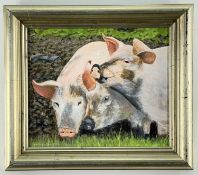 ‡ DAVID WILSON BRIDELL oil on board - entitled verso 'Three Young Pigs', signed and dated 1994, 25 x