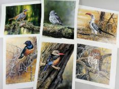 ‡ AFTER PETER BLACKWELL, six limited edition ornithological colour prints - African hornbill, and