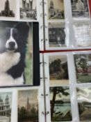 VINTAGE & LATER POSTCARD COLLECTION - approximately 240 within 3 albums to include standard and