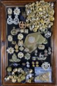 MILITARY FORCES BADGES, BUTTONS & PIPS to include a Scots Guards brass plate No 2703836 named D