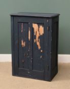 VINTAGE PINE PAINTED CUPBOARD, with three interior shelves, 104cms H, 74cms W, 41cms D