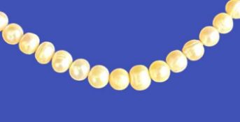 A FRESHWATER PEARL NECKLACE - approximately 44cms of large uniform rounded pearls, 64grms