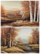 JENKINS oils on canvas (2) - birch trees and meandering river, 39 x 49cms and other similar, both