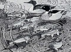 ‡ COLIN SEE-PAYNTON (b.1946) limited edition (40/15) wood engraving - 'Redbreasted Mergansers and
