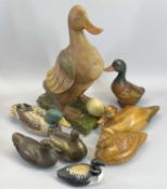 TREEN DUCKS - an assortment of models including tall standing example, 51cms tall