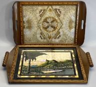 BUTTERFLY WING TRAY - with a picture of Rio and another butterfly wing tray