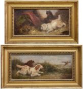 MANNER OF GEORGE ARMFIELD (1808-1893) oils on board, a pair - a pair of terriers, and a pair of