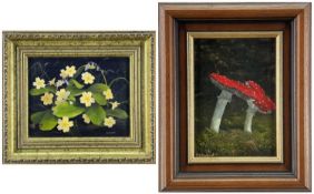 ‡ ALAN KINGWELL, acrylic on panel, Primroses with moth and ladybird, signed, 19 x 24cm; Fly