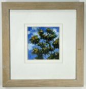 ROBERT JONES (b.1943) oil on board - Gorse, signed with initials, signed, titled and dated 1999