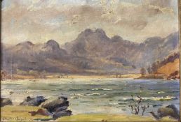 HEATHER CRAIGMILE oil on canvas - a Welsh lake and mountain scene, signed, 24 x 33.5cms