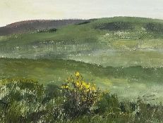 ‡ ELIZABETH THOMAS (contemporary) gouache - 'Gower Landscape', entitled verson on Attic Gallery