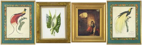 FOUR PICTURES, comprising pair French colour prints of birds of paradise, 36 x 26cms, continental