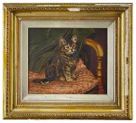 WILSON HEPPLE (BRISTISH 1854-1937) oil on canvas - study of a seated kitten on cushion, signed and