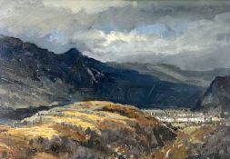 ‡ GARETH PARRY acrylic - expansive view of the artist's hometown of Blaenau Ffestiniog, Gwynedd,